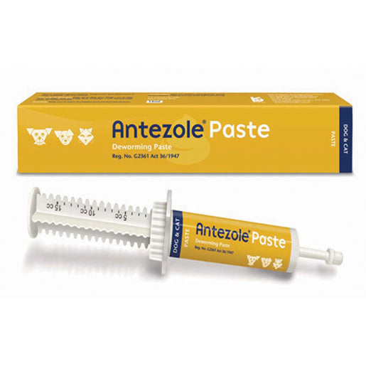 Antezole Deworming Paste 15ml