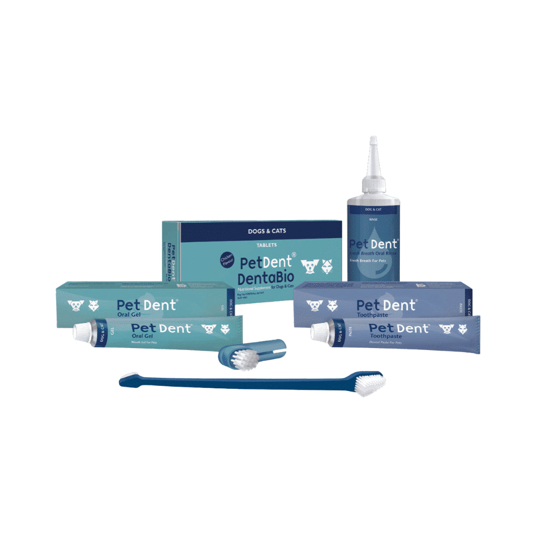 Pet Dent Toothpaste 60g